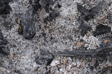 Yanan odun külleri ve kömürün arka planı