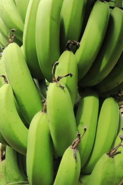 Yeşillik muzları kapatın. Doğal Desen ve arkaplan