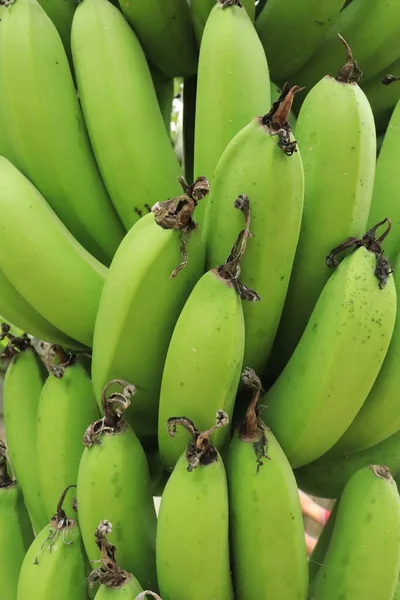 브런치그린 바나나를 클로즈업합니다 자연의 — 스톡 사진