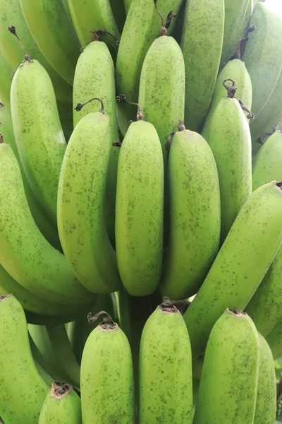 Κοντινό Πλάνο Πράσινες Μπανάνες Φυσικό Μοτίβο Και Φόντο — Φωτογραφία Αρχείου
