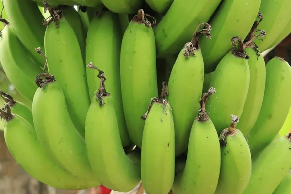 Sluiten Van Bunch Groene Bananen Natuurlijk Patroon Achtergrond — Stockfoto