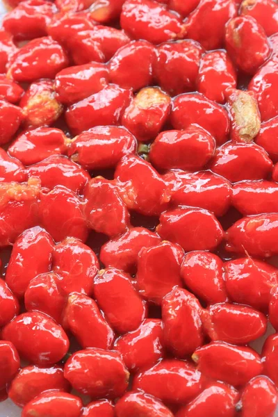 Семена Горькой Тыквы Красной Кожей Фруктов — стоковое фото