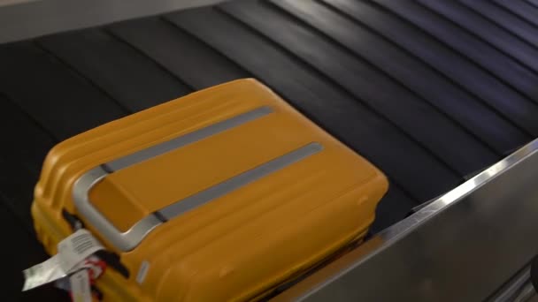 Différentes Valises Déplaçant Sur Courroie Transporteuse Arrivée Dans Aérogare Passagers — Video