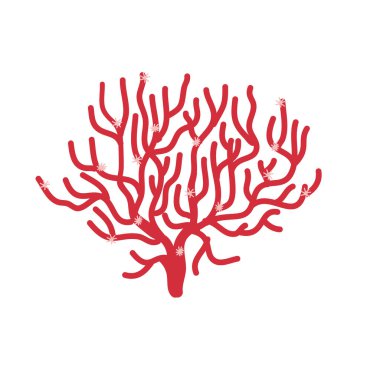 beyaz zemin üzerinde izole mercan