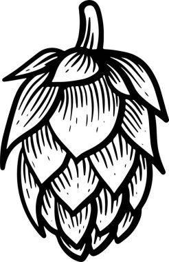 Ayrıntılı bir zıplama konisinin siyah ve beyaz vektör çizimi. Bu çizim, genellikle demleme ve aşçılık uygulamalarında kullanılan hop 'un karmaşık katmanlarını ve dokularını vurgular.