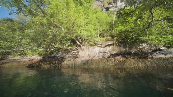 Гейрангер Фьорд Скалистые Берега Покрытые Низкими Деревьями Высококачественные Кадры — стоковое видео