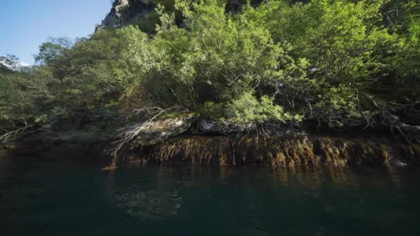 Shot Fjord Dense Vegetation Covers Rocky Shore High Quality Footage — Stock Video