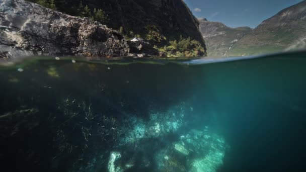 对峡湾的过低的一击 杂草和海藻在水里轻轻摇曳着 高质量的4K镜头 — 图库视频影像