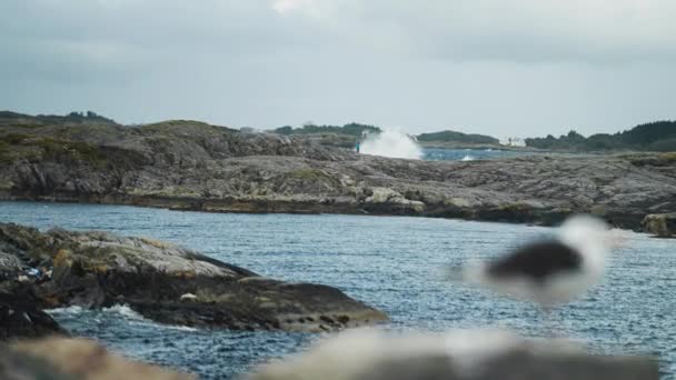 Schwere Wellen Trafen Die Felsige Küste Entlang Der Atlantikstraße Norwegen — Stockvideo