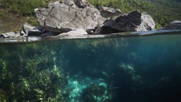 对峡湾的过低的一击 杂草和海藻在水里轻轻摇曳着 高质量的4K镜头 — 图库视频影像