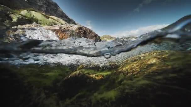 Ett Överdrivet Skott Floden Och Bergen Ogräs Täcker Stenarna Längst — Stockvideo