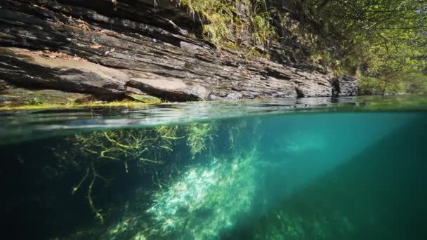 Nadmierne Ujęcie Fiordu Chwasty Wodorosty Kołyszą Się Delikatnie Przezroczystej Wodzie — Wideo stockowe