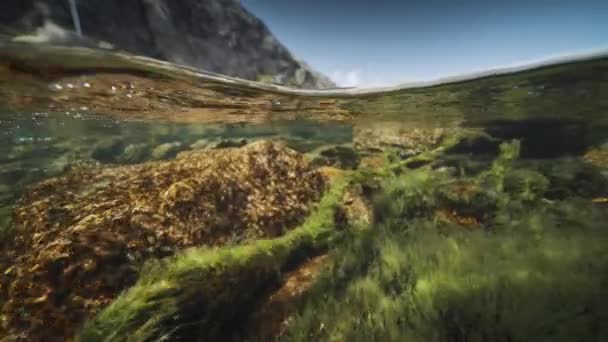 Ett Överdrivet Skott Floden Och Bergen Ogräs Svajar Försiktigt Det — Stockvideo