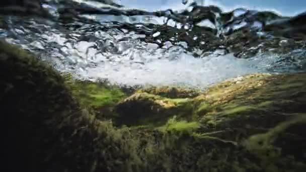 Μια Υπερβολική Δόση Του Τρεχούμενου Νερού Ζιζάνια Καλύπτουν Τις Πέτρες — Αρχείο Βίντεο