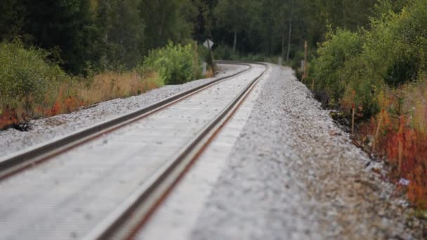 Eine Nahaufnahme Einer Eingleisigen Eisenbahn Die Durch Den Wald Fährt — Stockvideo