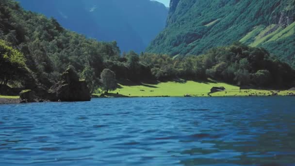 Vysoké Lesy Pokryté Hory Tyčí Nad Fjordem Naeroy Malá Osada — Stock video