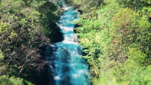 Una Cascada Los Acantilados Verdes Escarpados Cubiertos Bosques Del Fiordo — Vídeos de Stock