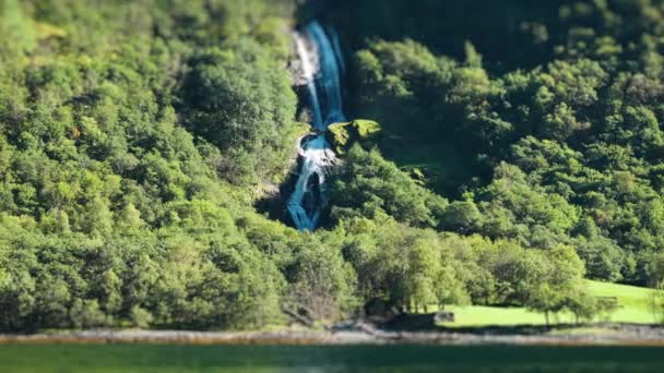 Egy Billenős Videó Vízesésről Naeroy Fjord Erdőkkel Borított Meredek Szikláin — Stock videók