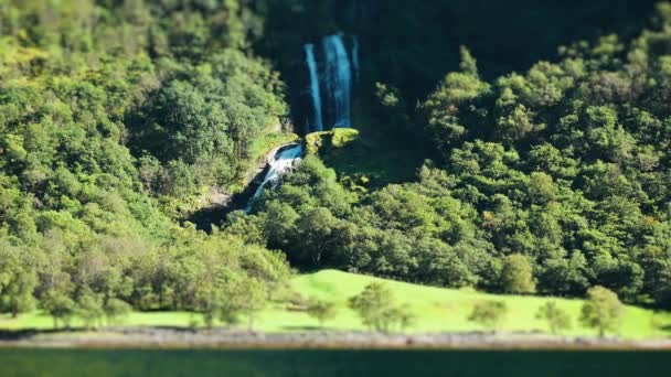 Vídeo Cascada Los Verdes Acantilados Cubiertos Bosques Del Fiordo Naeroy — Vídeos de Stock