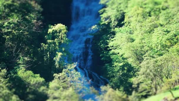 Náklon Vodopádu Zalesněných Zelených Strmých Útesech Naeroyova Fjordu Zpomal Vysoce — Stock video