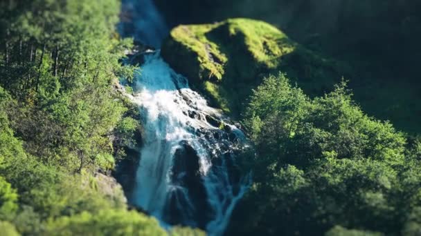 Video Převrácení Vodopádu Lesy Pokrytých Strmých Útesech Naeroy Fjord Zpomal — Stock video