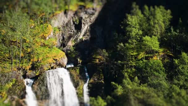 Vídeo Cascada Las Orillas Cubiertas Bosques Del Fiordo Naeroy Imágenes — Vídeos de Stock