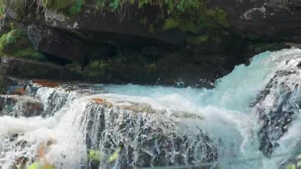 鳟鱼在挪威特温德弗森瀑布瀑布的瀑布上向上游攀爬 慢动作 随波逐流高质量的4K镜头 — 图库视频影像