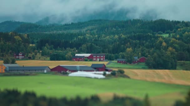 静かな農村ノルウェーの風景です 緑と黄色のフィールドに囲まれた近代的な農場 背景に森に覆われた丘 ティルトシフトビデオ 高品質4K映像 — ストック動画