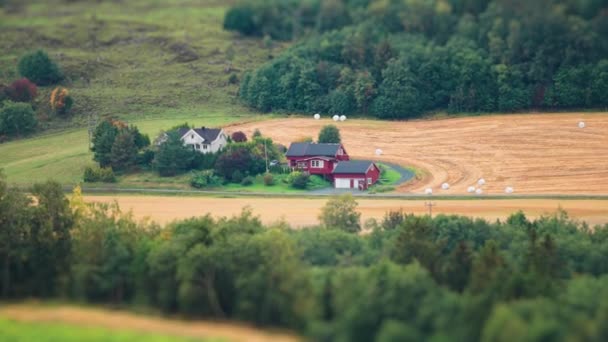 挪威农村的一个小农场被菲兹包围 倾斜移位视频 草包躺在田里 慢动作 高质量的4K镜头 — 图库视频影像
