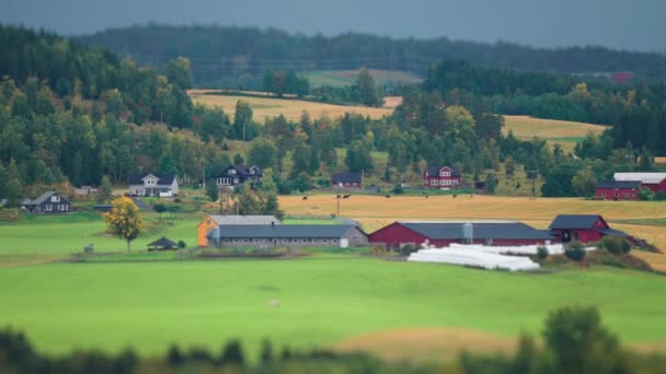 ノルウェーの静かな田園風景 緑と黄色のフィールドに囲まれた近代的な農場 傾きシフトビデオ スローモーション パンフォロー 高品質4K映像 — ストック動画