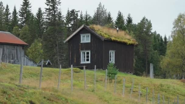 Μια Παραδοσιακή Στέγη Χλοοτάπητα Στο Σκανδιναβικό Τοπίο Αργή Κίνηση Στρίψε — Αρχείο Βίντεο