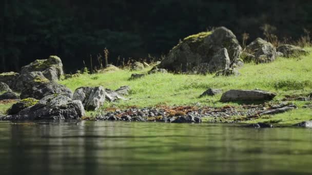Zelené Skalnaté Břehy Naeroyova Fjordu Pohled Vody Zpomal Zatoč Doleva — Stock video