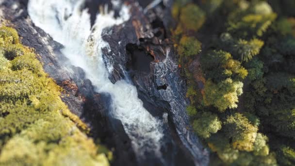 Tilt Shift Video Formofoss Waterfall Canyon Tall Trees Both Sides — Video Stock