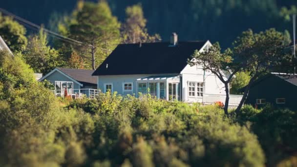 Small Tidy House Surrounded Trees Fjord Coast Tilt Shift Video — Video
