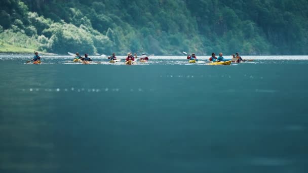 Group Kayakers Paddling Crossing Naeroy Fjord Forest Covered Cliffs Background — Stock video