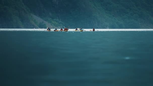 Group Kayakers Paddling Crossing Naeroy Fjord Slow Motion Pan Follow — Stockvideo