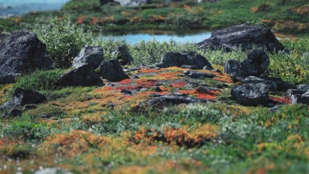 Colorful Autumn Landscape Rocky Valley Norway Slow Motion Pan Left — Vídeo de Stock