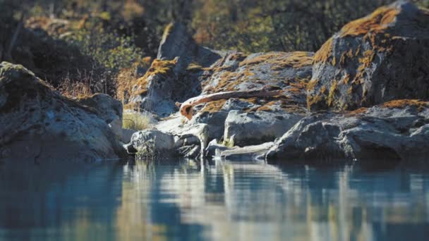 Margens Rochosas Lago Loenvatnet Movimento Lento Vista Água Imagens Alta — Vídeo de Stock