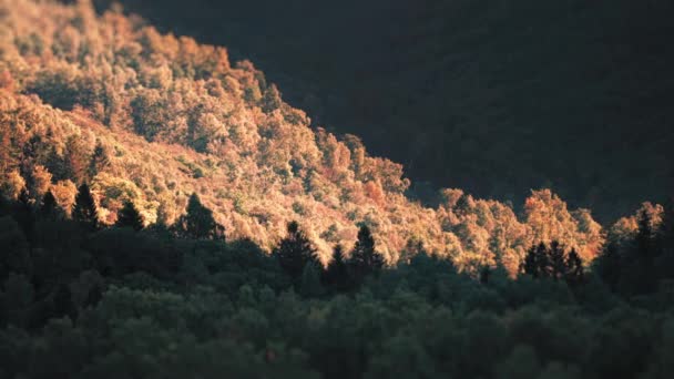 Letecký Pohled Lesy Porostlé Kopce Nad Jezerem Loen Údolí Lodalen — Stock video