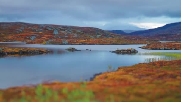 カラフルな秋の湿地の風景の空中ビュー 空に濃い灰色の雲 高品質4K映像 — ストック動画