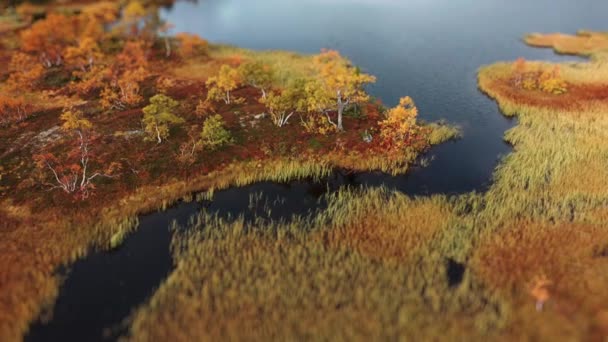 Vista Aérea Del Paisaje Pantanoso Del Pantano Tundra Noruega Nubes — Vídeos de Stock