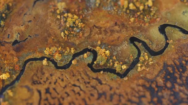 Vista Aérea Del Río Serpenteando Través Del Paisaje Pantanoso Vídeo — Vídeos de Stock