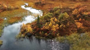 Norveç tundrasındaki bataklık arazisinin havadan görünüşü. Karanlık suda güneş parıldıyor. Yavaş çekim. Eğik vites. Yüksek kalite 4K görüntü