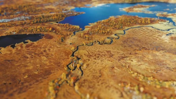 カラフルな秋の湿地帯の空中ビュー 川や湖の風景を介してカット ティルトシフトビデオ 高品質4K映像 — ストック動画