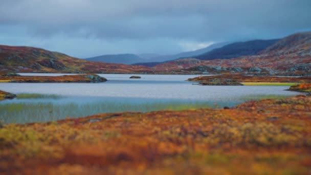 Colorful Autumn Marshland Landscape Heavy Gray Clouds Sky Pan Left — Stock Video