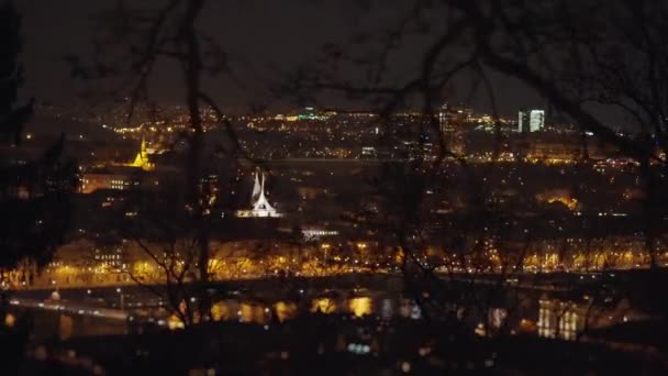 Luftaufnahme Des Prager Stadtzentrums Bei Nacht Straßenlaternen Spiegeln Sich Fluss — Stockvideo