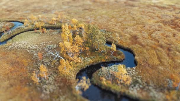 空中飞越河流 蜿蜒穿过秋天的沼泽地 倾斜换档视频 高质量的4K镜头 — 图库视频影像