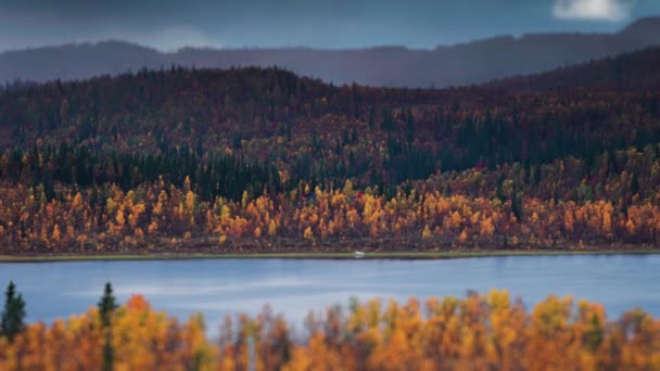 Gölün Üzerindeki Kara Fırtınalı Bulutlar Sonbahar Tundrasının Orman Kaplı Tepeleri — Stok video