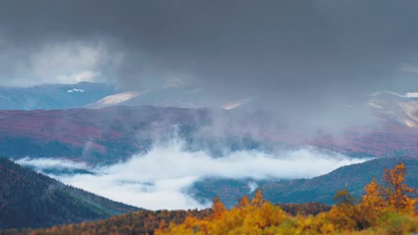 浓密的风暴在山谷上空盘旋 投下了阴影 浓雾弥漫在山谷的地板上 空中风景 高质量的4K镜头 — 图库视频影像