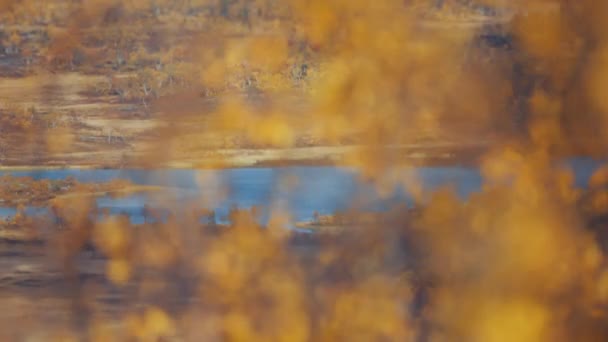 挪威北部秋天冻土带中的湖泊 慢动作 向左转 五彩斑斓的树叶模糊的前景 高质量的4K镜头 — 图库视频影像